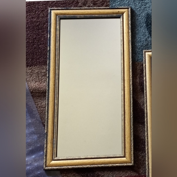 Elegant Gold Framed Wall Mirror 10x20. - Picture 1 of 3